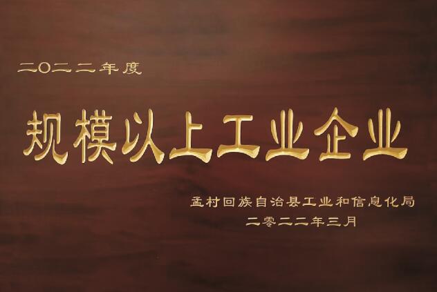 规模以上工业企业2022年度